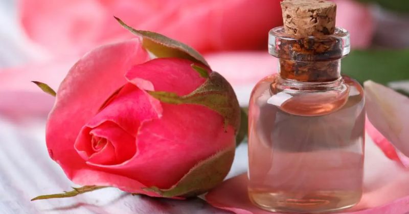 How To Use Rosewater For Skin Whitening? – Afterthought
