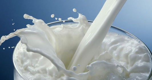 Is cleansing Milk Good For Oily Skin?