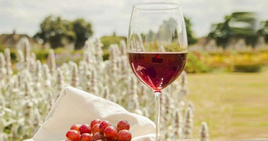 Which Wine Is Best For Skin Glow?